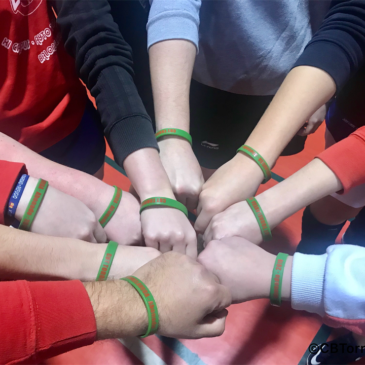 ¡Nuevos Abonos 2019!